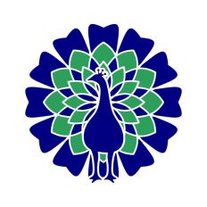 Mandala Peacock