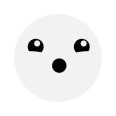 Seal Face