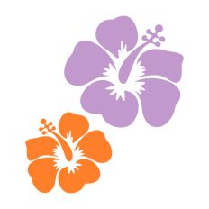 Hibiscus Tropical Flowers