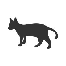 Black Cat Kitten Silhouette Outline Shape Halloween Witch 