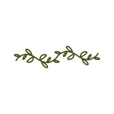 Botanical Vine Leaf Branch Tree Stem Floral Pattern Border Line