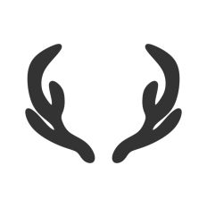 Reindeer Antlers