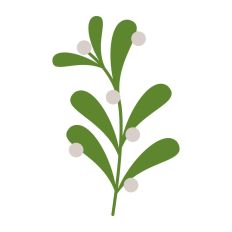 Mistletoe Christmas Plant Winter Festive Kiss