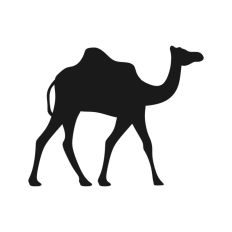 Camel Desert Nativity Scene Outline Silhouette Shape