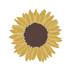 Sunflower Head
