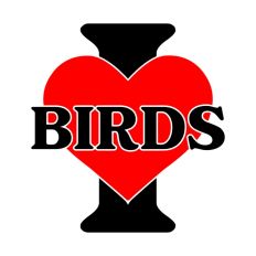I Love Birds