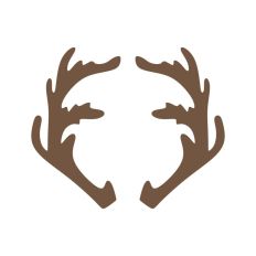 Deer Buck Stag Antlers Christmas Reindeer Hunting