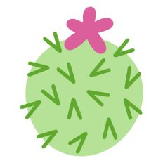 Round Ball Cactus With Spikes