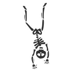 Cute Dancing Skeleton Sketch Drawing