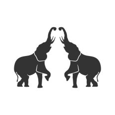 Two Elephants