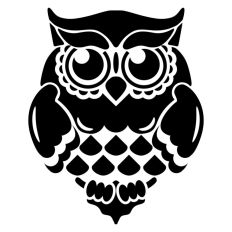 Owl Bird