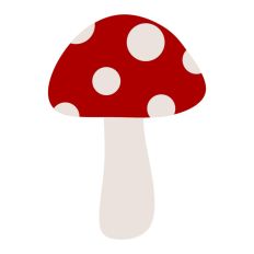 Mushroom Toadstool