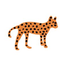Cheetah Big Cat