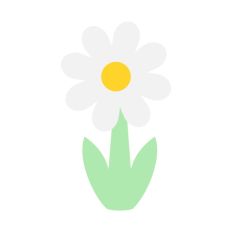 Daisy Plant