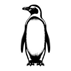 Penguin Animal Winter Bird Christmas