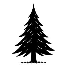 Pine Tree Forest Winter Spruce Christmas