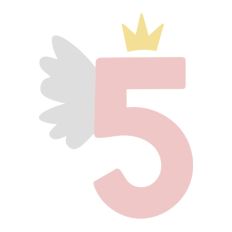 Wing Fairy Princess 5 Five