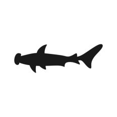 Shark Silhouette 