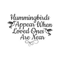 Hummingbirds Appear When Loved Ones Are Near