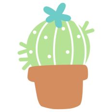 Round Cacti Plant Pot