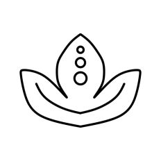 Lotus Flower Line Drawing