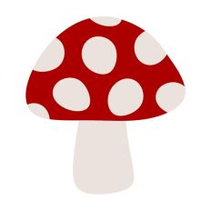 Mushroom Toadstool