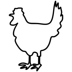 Chicken Outline