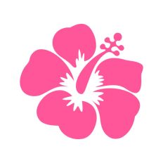 Hibiscus Flower