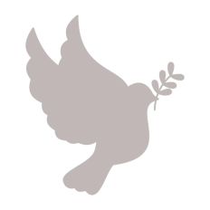 Dove with Branch