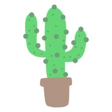 Dotty Cactus in Pot