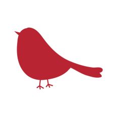 Robin Bird