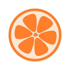 Orange Citrus Fruit 