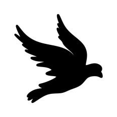 Bird Flying