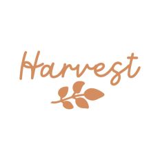 Harvest Thanksgiving Fall