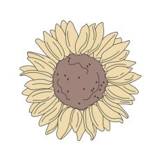 Sunflower with Line Details
