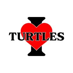 I Love Turtles