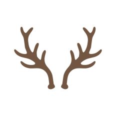 Deer Buck Stag Antlers Christmas Reindeer Hunting