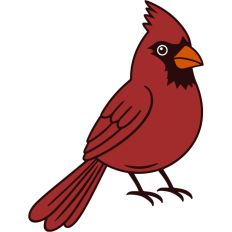 Christmas Cardinal Bird Festive Winter