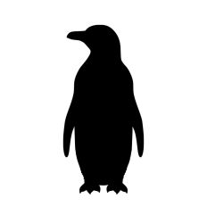 Penguin Animal Winter Bird Christmas