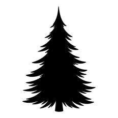 Pine Tree Forest Winter Spruce Christmas