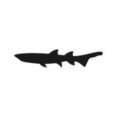 Shark Silhouette 