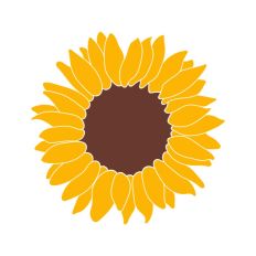 Sunflower Face