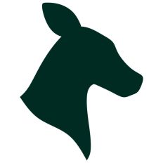 Stag Deer Reindeer Head Shape Silhouette Christmas