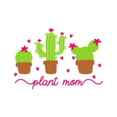 Plant Mom Cacti's 