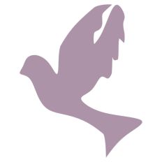 Dove Flapping Wings