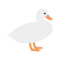 Duck Standing on Side
