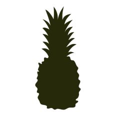 Pineapple Silhouette