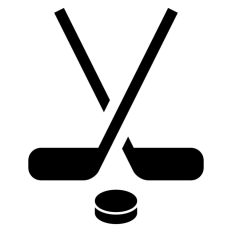 Ice Hockey Sticks and Puck