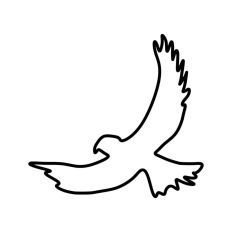 Bird of Prey