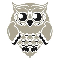 Owl Patterned
